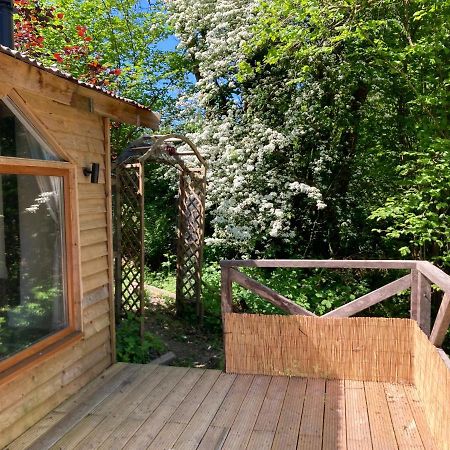Honey Bee Cabin Llandysul ภายนอก รูปภาพ