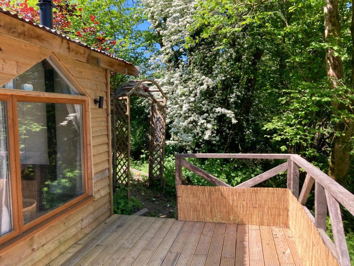 Honey Bee Cabin Llandysul ภายนอก รูปภาพ