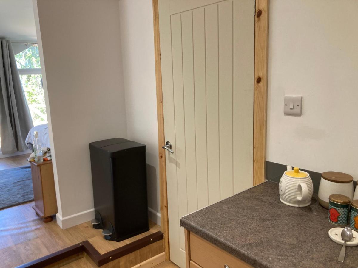 Honey Bee Cabin Llandysul ภายนอก รูปภาพ