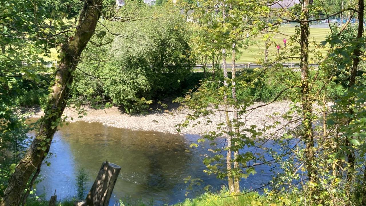 Honey Bee Cabin Llandysul ภายนอก รูปภาพ