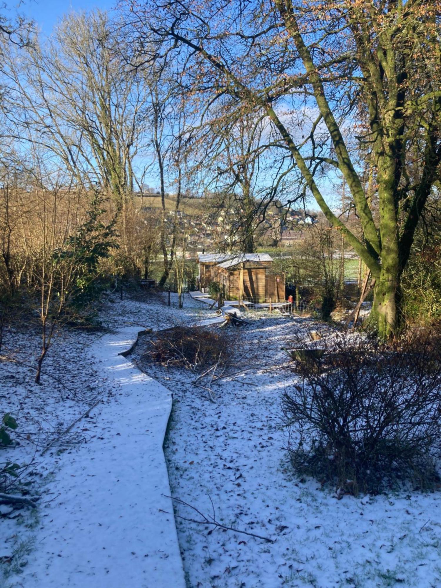 Honey Bee Cabin Llandysul ภายนอก รูปภาพ